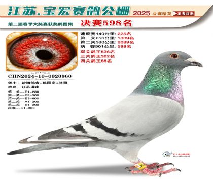 寶宏春棚決賽598名