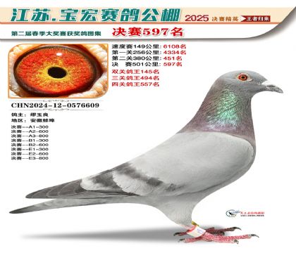 寶宏春棚決賽597名