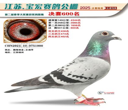 寶宏春棚決賽600名