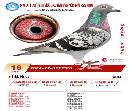 四川藍天傲翔加站賽16名