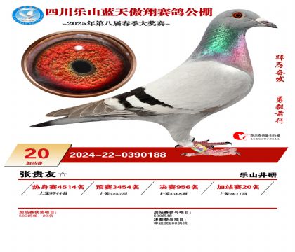 四川藍天傲翔加站賽20名