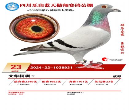 四川藍天傲翔加站賽23名