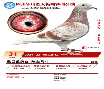 四川藍天傲翔加站賽31名