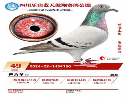 四川藍天傲翔加站賽49名