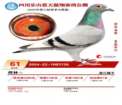 四川藍天傲翔加站賽61名