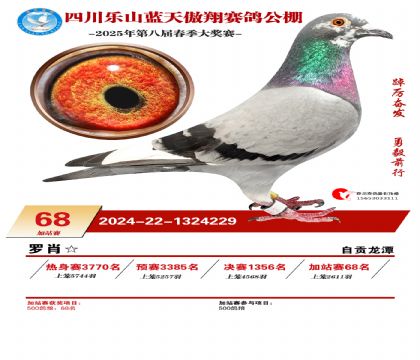四川藍天傲翔加站賽68名