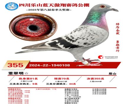 四川藍(lán)天傲翔三關(guān)鴿王9名