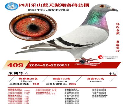 四川藍(lán)天傲翔三關(guān)鴿王10名