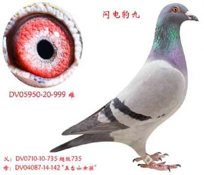 (gu)ԭW늱