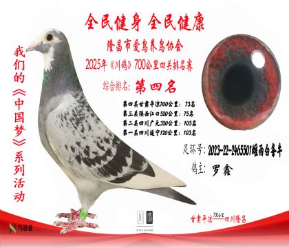 4名羅鑫2023-22-2465501雌雨白條牛