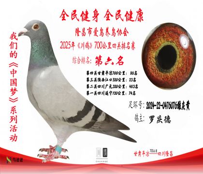 6名羅慶德2024-22-0476076雄灰黃6
