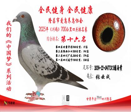 16名張?jiān)瞥?024-22-0477313雄雨黃