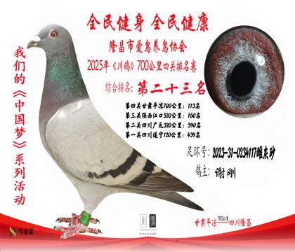 23名謝剛2023-31-0234117雌灰砂