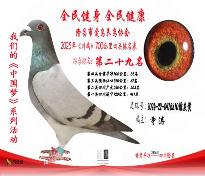 29名曾濤2024-22-0476810雄灰黃