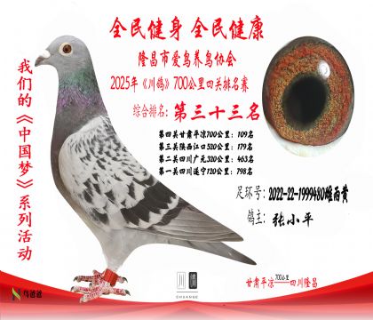 33名張小平2022-22-1999480雌雨黃