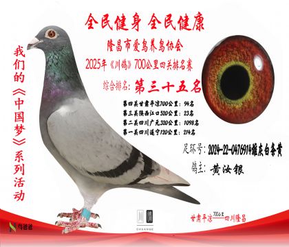 35名黃汝銀2024-22-0476914雄灰白條黃