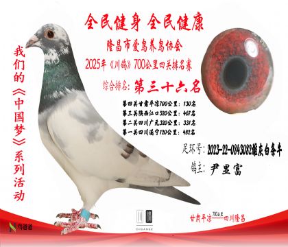 36名尹顯富2023-22-0843082雄灰白條牛