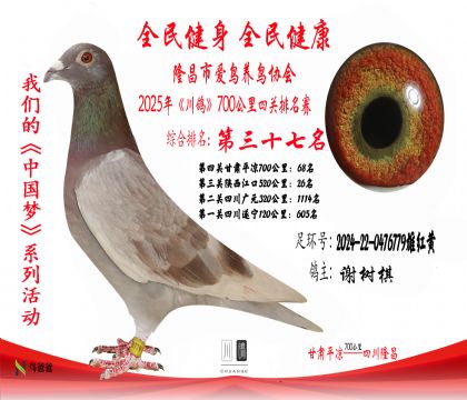 37名謝樹(shù)棋2024-22-0476779雄紅黃