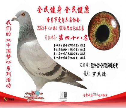 48名羅慶德2024-22-0476654雌灰黃