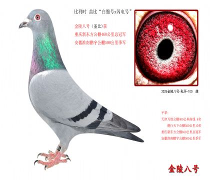 1r wȡ׸̖xW̖
