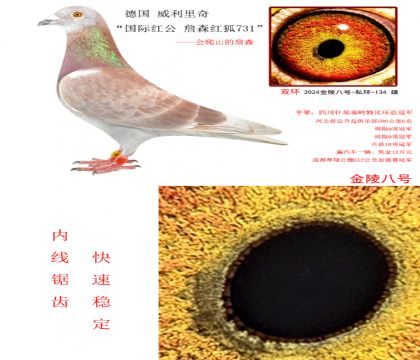 5 桰Ht ղɭt731