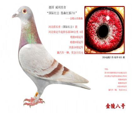 6 桰Ht ղɭt731