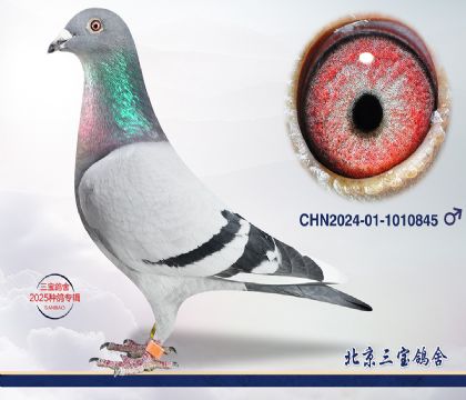 2.吉林克斯x速霸龍.1010845