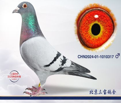 3.速霸龍近血.1010317