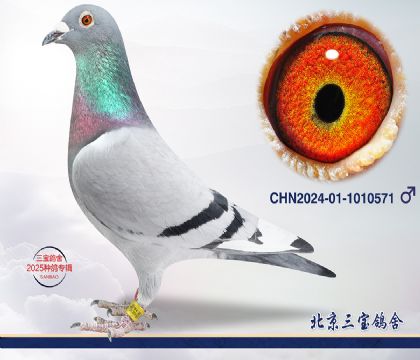 7.巴特亨德里克近血.1010571