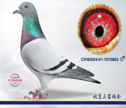 10.速霸龍近血.1010863