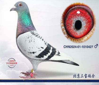 11.奶酪x超霸凡龍.1010427