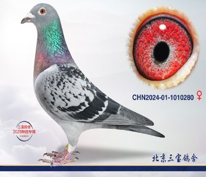 12.范登布克近血.1010280