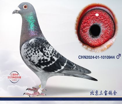 15.超霸1000近血.1010944
