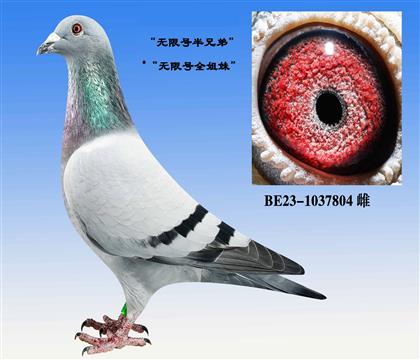 ĸ