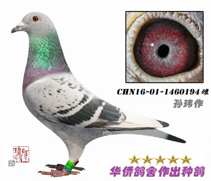 7̖(ho)-(jing)܊ױ̖(ho)ֱϵ-1460194-