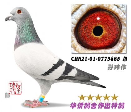 10̖(ho)--Aϵ0773465-