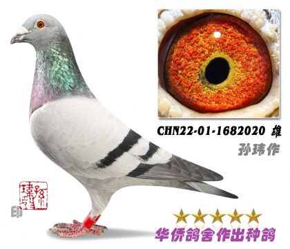 11̖(ho)--ղɭ019tϵ-1682020-