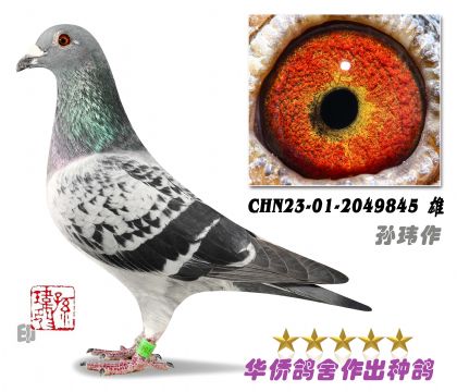 14̖(ho)--O|ձ(sh)(zhn)Nݔϵ2049845-