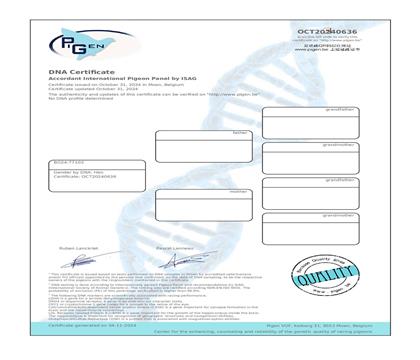 DNA