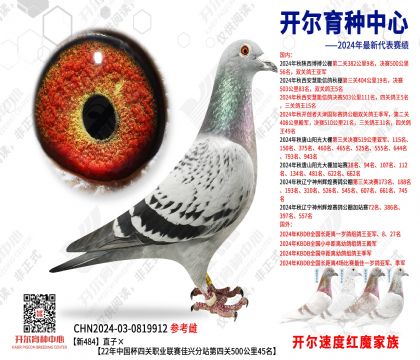 484ֱӡ22ЇI(y)(lin)ِdվP(gun)50045