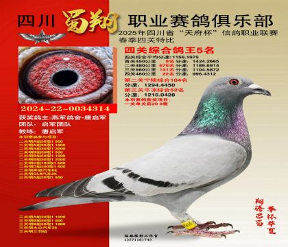 四川蜀翔四關(guān)鴿王5名