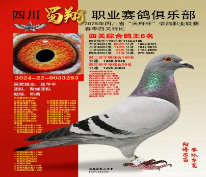 四川蜀翔四關(guān)鴿王6名