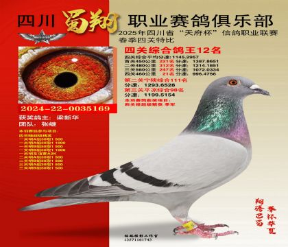 四川蜀翔四關(guān)鴿王12名