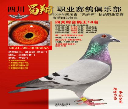 四川蜀翔四關(guān)鴿王14名