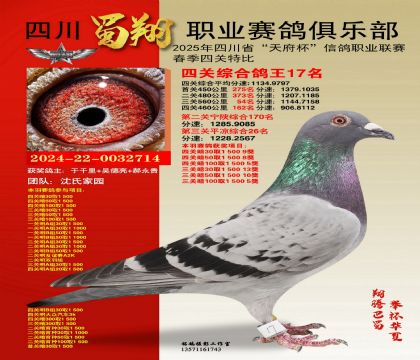 四川蜀翔四關(guān)鴿王17名