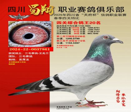 四川蜀翔四關(guān)鴿王20名