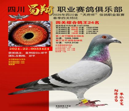 四川蜀翔四關(guān)鴿王24名
