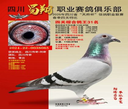 四川蜀翔四關(guān)鴿王31名
