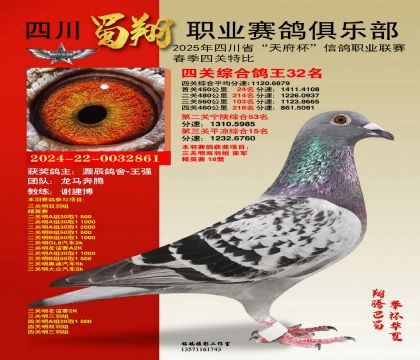 四川蜀翔四關(guān)鴿王32名
