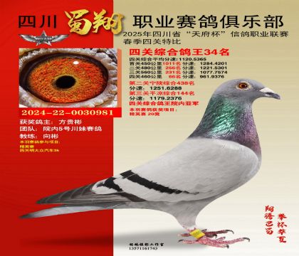 四川蜀翔四關(guān)鴿王34名